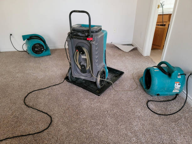 Best 24/7 water damage repair  in Salmon Brook, CT