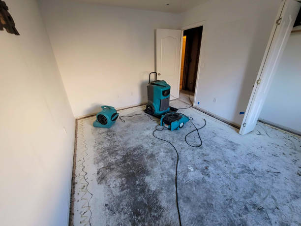 Best Water damage restoration near me  in Salmon Brook, CT