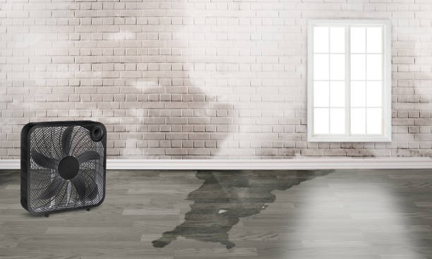 Best Emergency water damage restoration  in Salmon Brook, CT