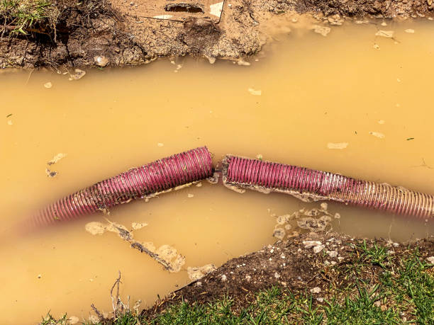 Best Water damage cleanup near me  in Salmon Brook, CT